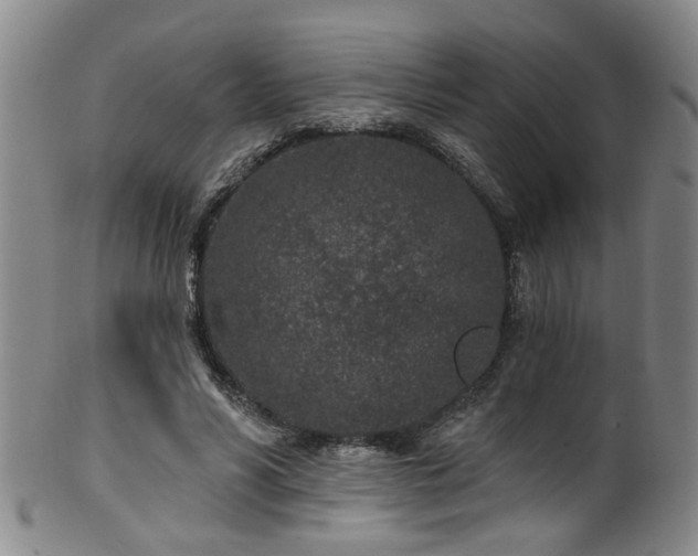 X0000100360590200806061140