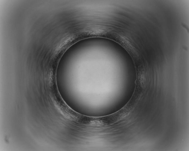 X0000100360591200806061140