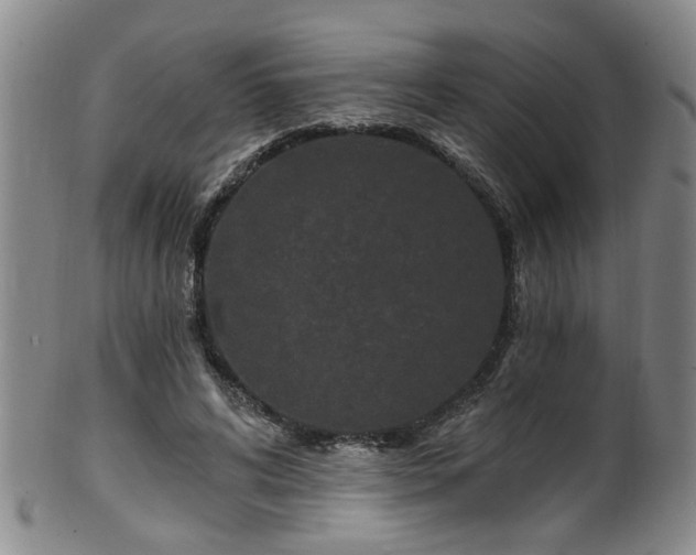 X0000100360592200806061140