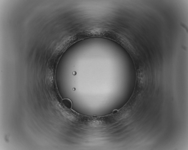 X0000100360593200806061140