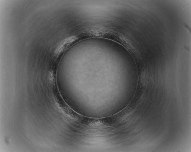 X0000100360594200806061140