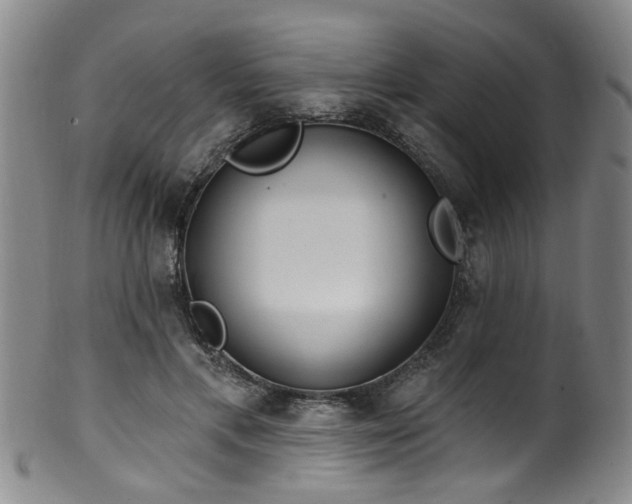 X0000100360597200806061140