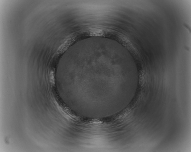 X0000100360598200806061140