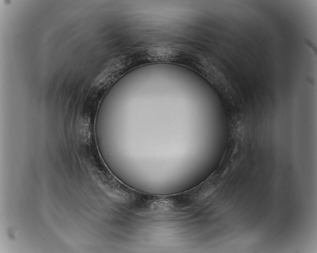 X0000100360599200806061140