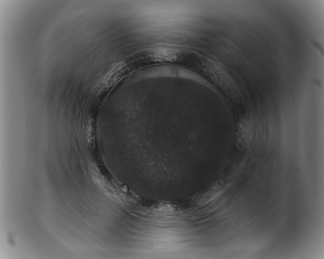 X0000100360600200806061140