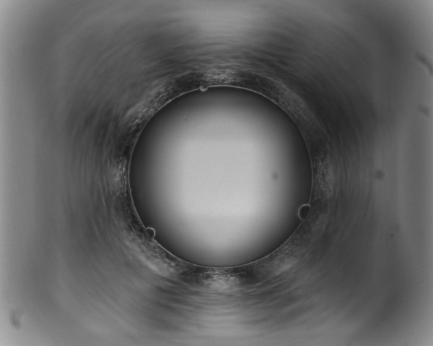 X0000100360601200806061140