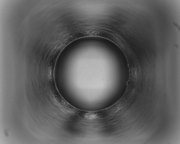 X0000100360602200806061140