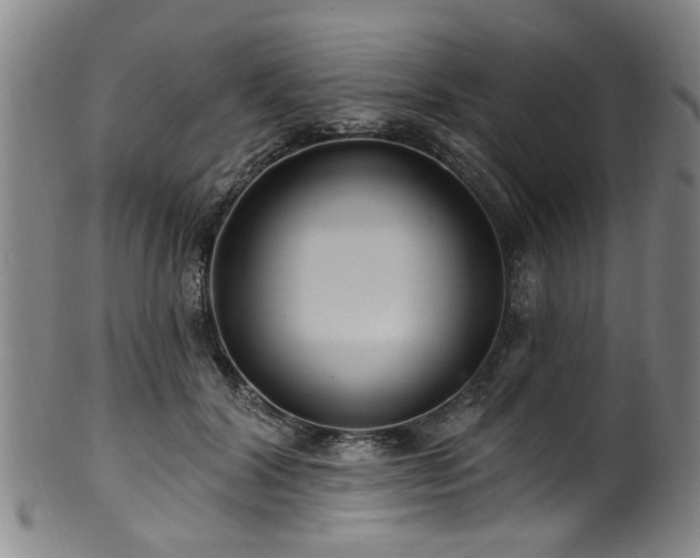 X0000100360604200806061140