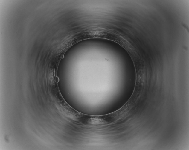 X0000100360605200806061140