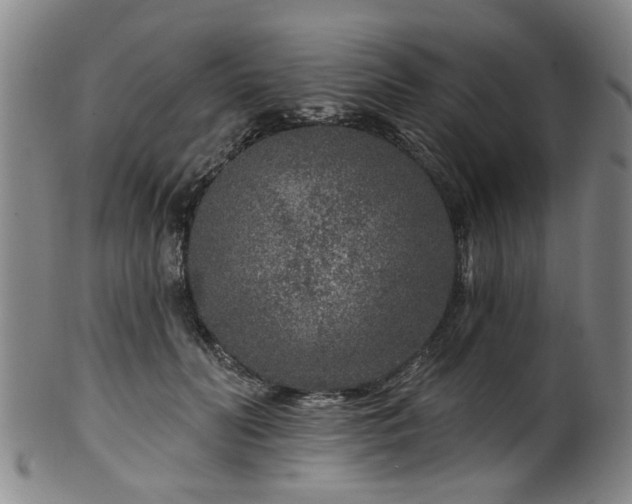 X0000100360606200806061140