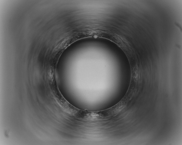 X0000100360607200806061140