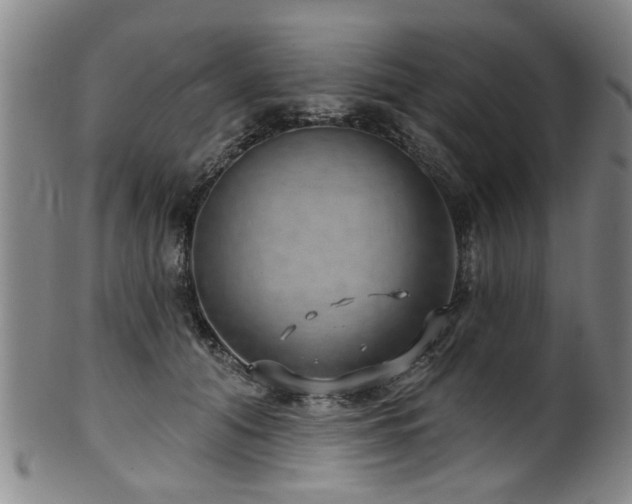 X0000100360608200806061140