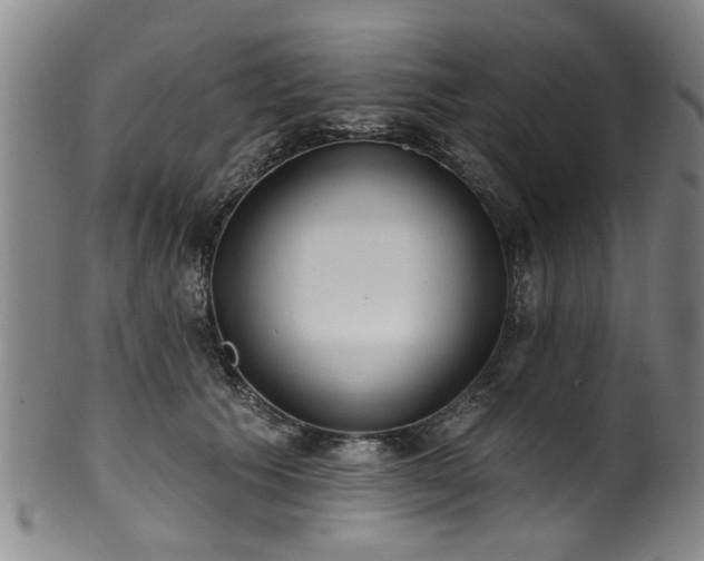 X0000100360609200806061140