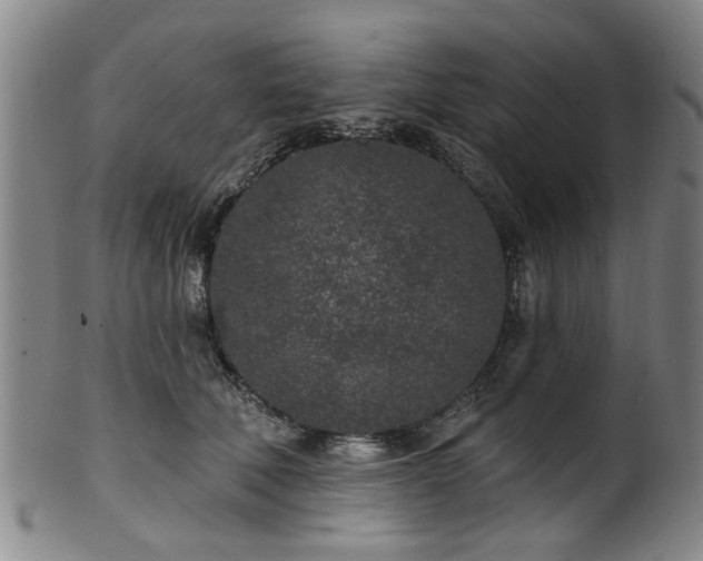 X0000100360610200806061140