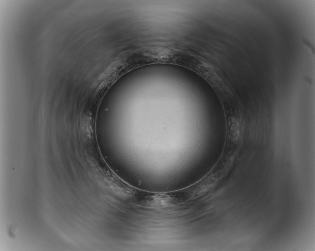 X0000100360612200806061140