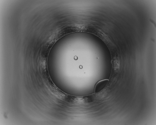 X0000100360613200806061140