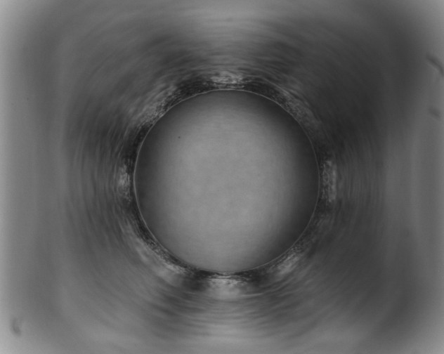 X0000100360614200806061140