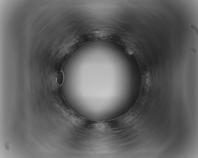 X0000100360615200806061140