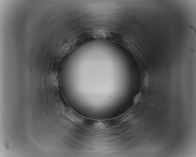 X0000100360616200806061140