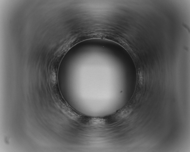 X0000100360617200806061140