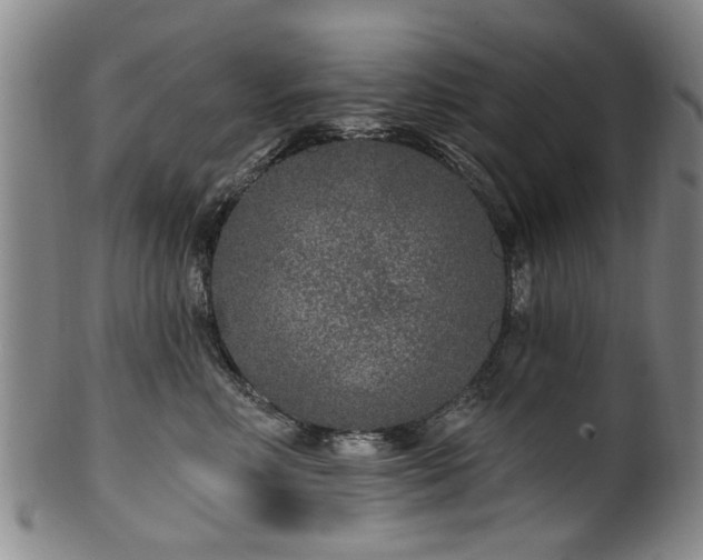 X0000100360618200806061140