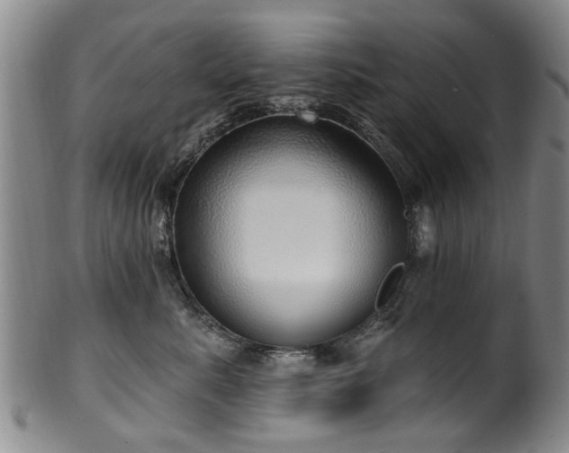 X0000100360619200806061139