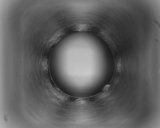 X0000100360620200806061139