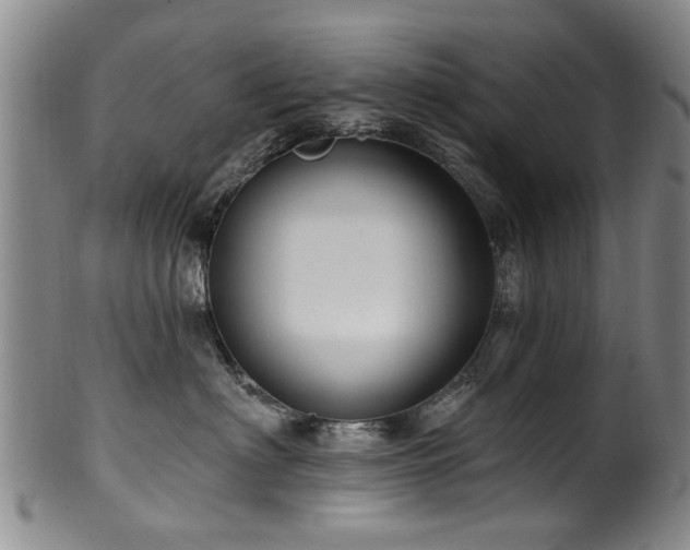 X0000100360622200806061139