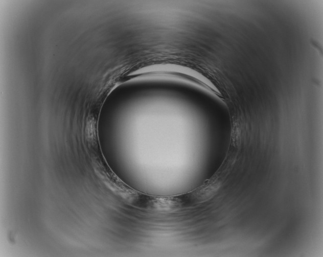 X0000100360623200806061139