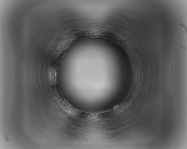 X0000100360624200806061139