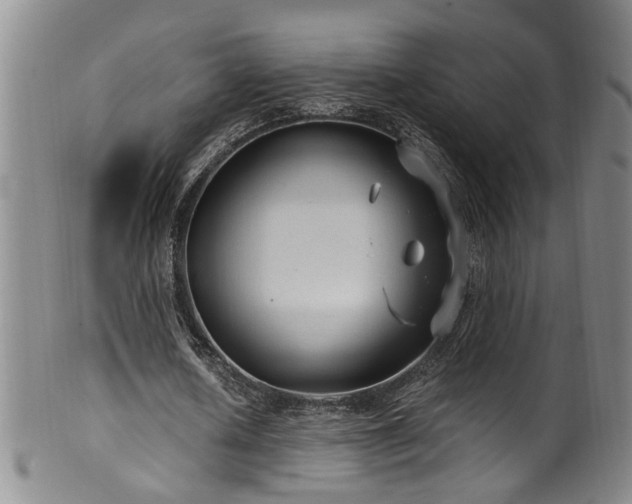 X0000100360626200806061139