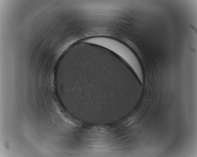 X0000100360627200806061139