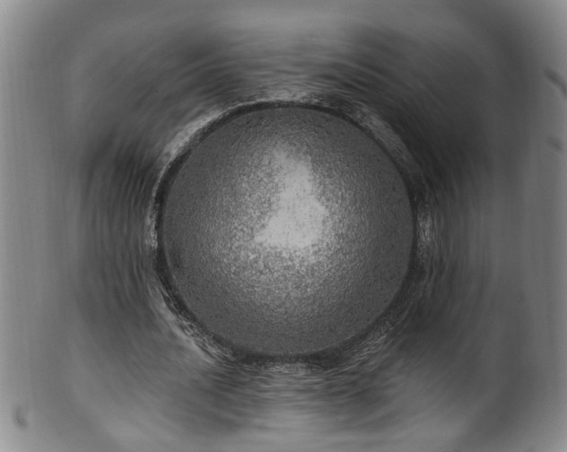 X0000100360628200806061139