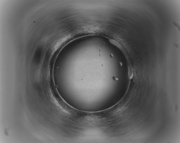 X0000100360630200806061139