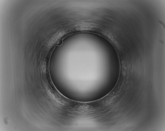 X0000100360631200806061139