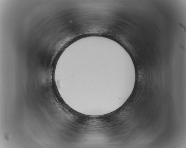 X0000100360632200806061139