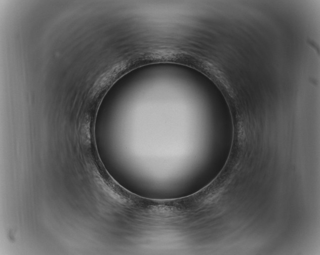 X0000100360633200806061139