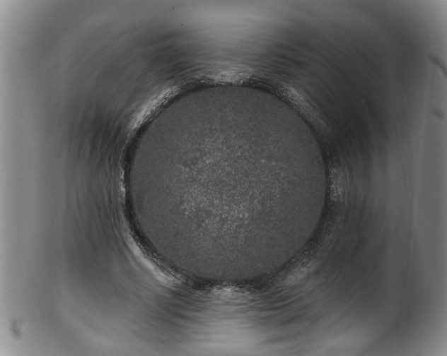 X0000100360634200806061139