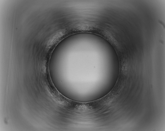 X0000100360635200806061139