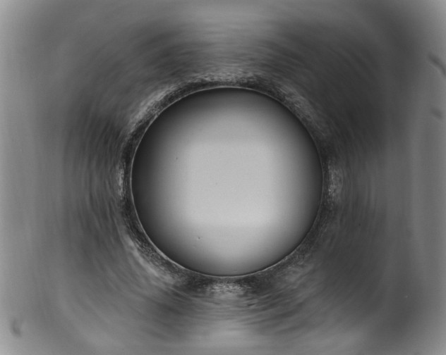 X0000100360636200806061139