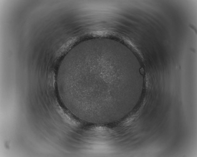 X0000100360637200806061139