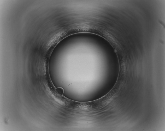 X0000100360638200806061139