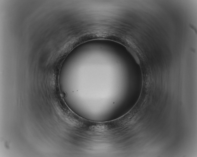 X0000100360639200806061139