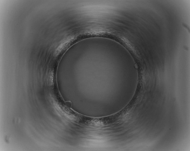 X0000100360640200806061139