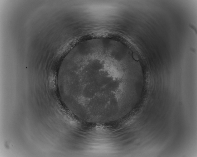 X0000100360641200806061139