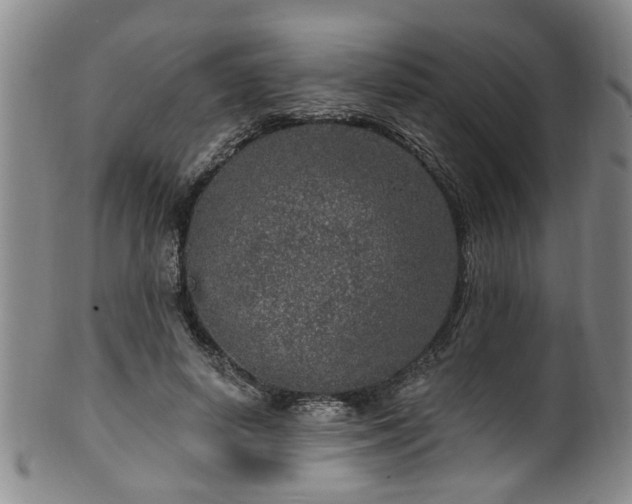 X0000100360642200806061139