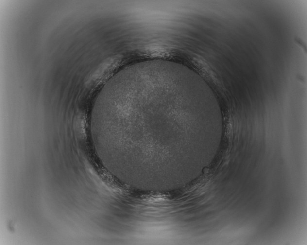 X0000100360643200806061139