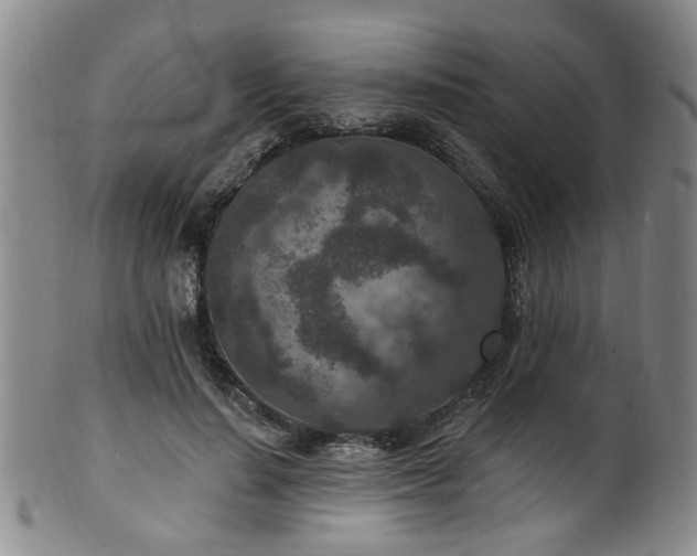 X0000100360644200806061139