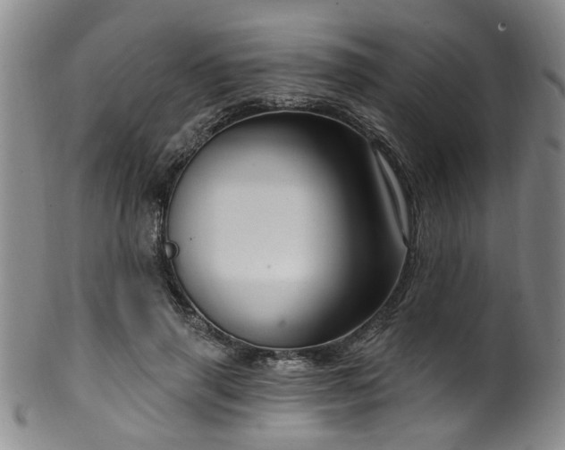 X0000100360645200806061139