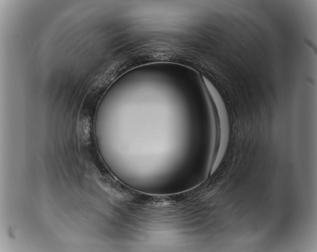 X0000100360646200806061139